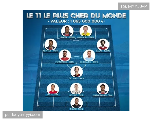 B费与德容的核心差异：推进结构中的角色定位与参与机制