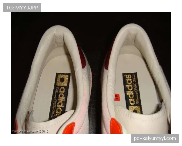 假设唐佳豪周末来小区遛弯，大家盯着他手上那双限量鞋看得比看他本人还认真