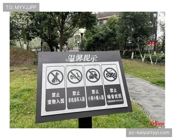 黄牌警告的判定标准:哪些行为必然吃牌? 黄牌警告的判定标准:哪些行为必然吃牌?